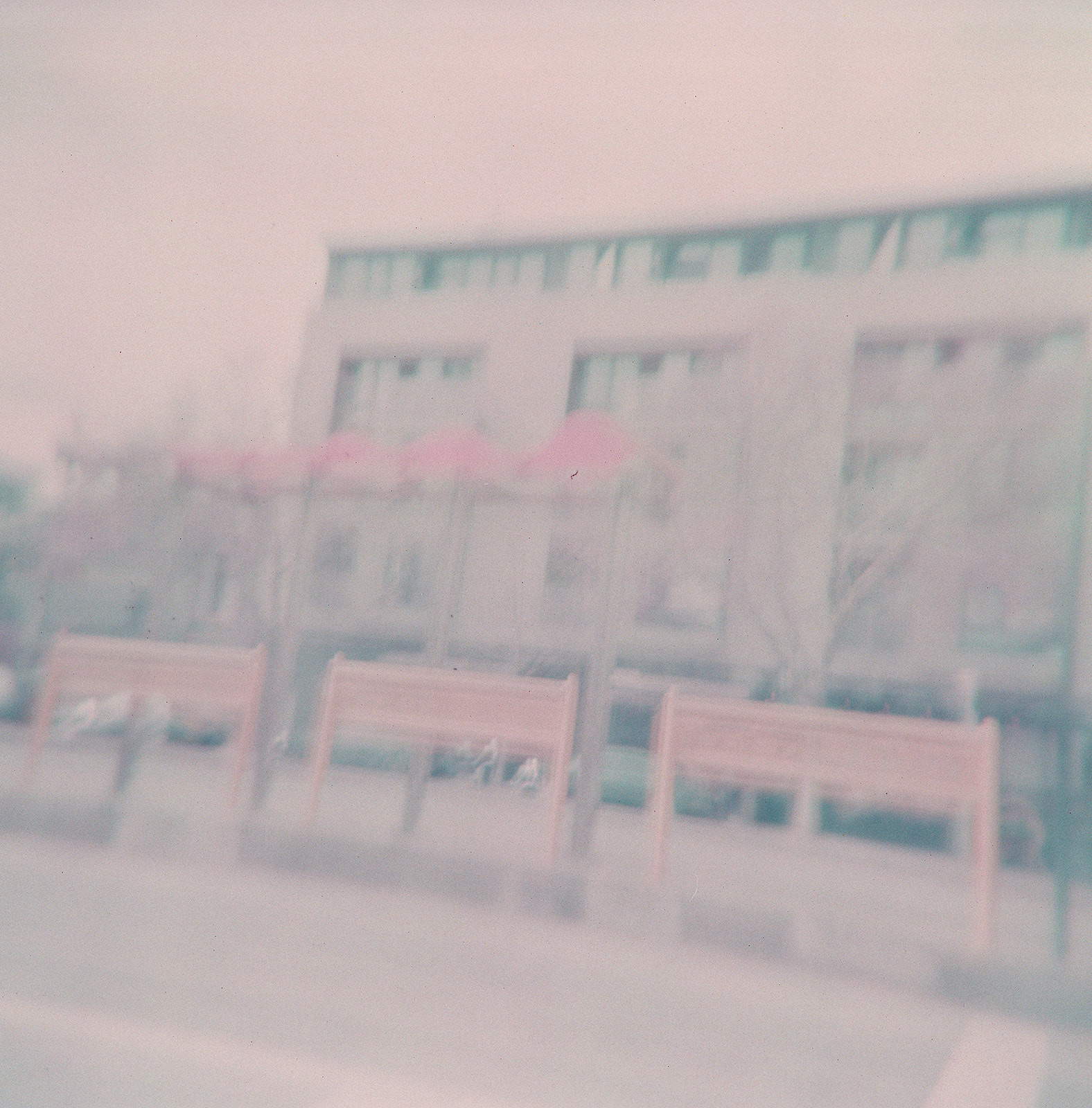 Monthly Study February 01