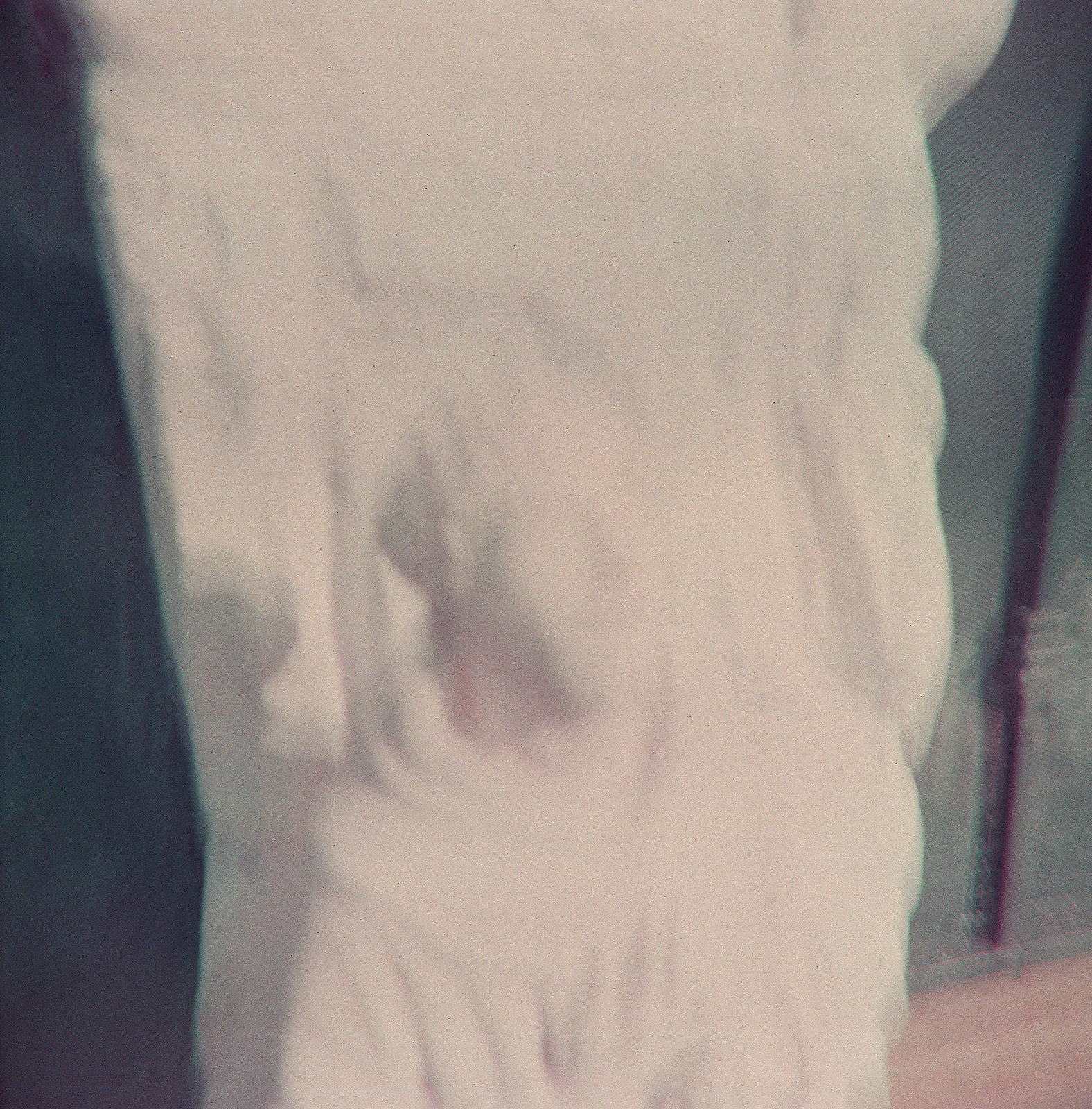 Monthly Study February 08