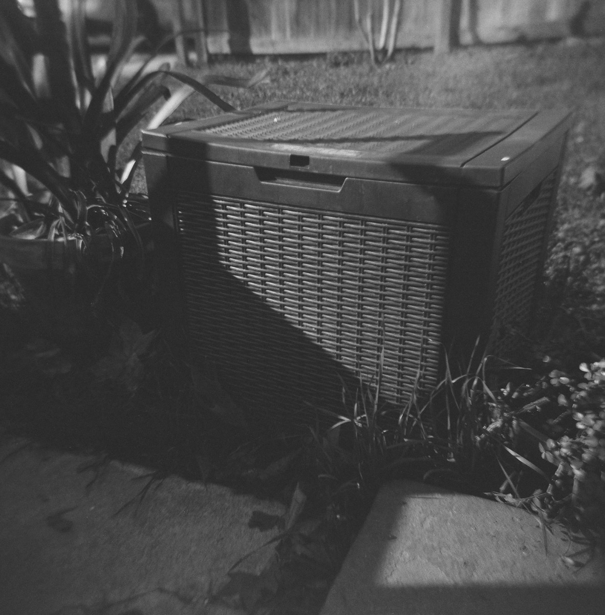 Monthly Studies January print 01