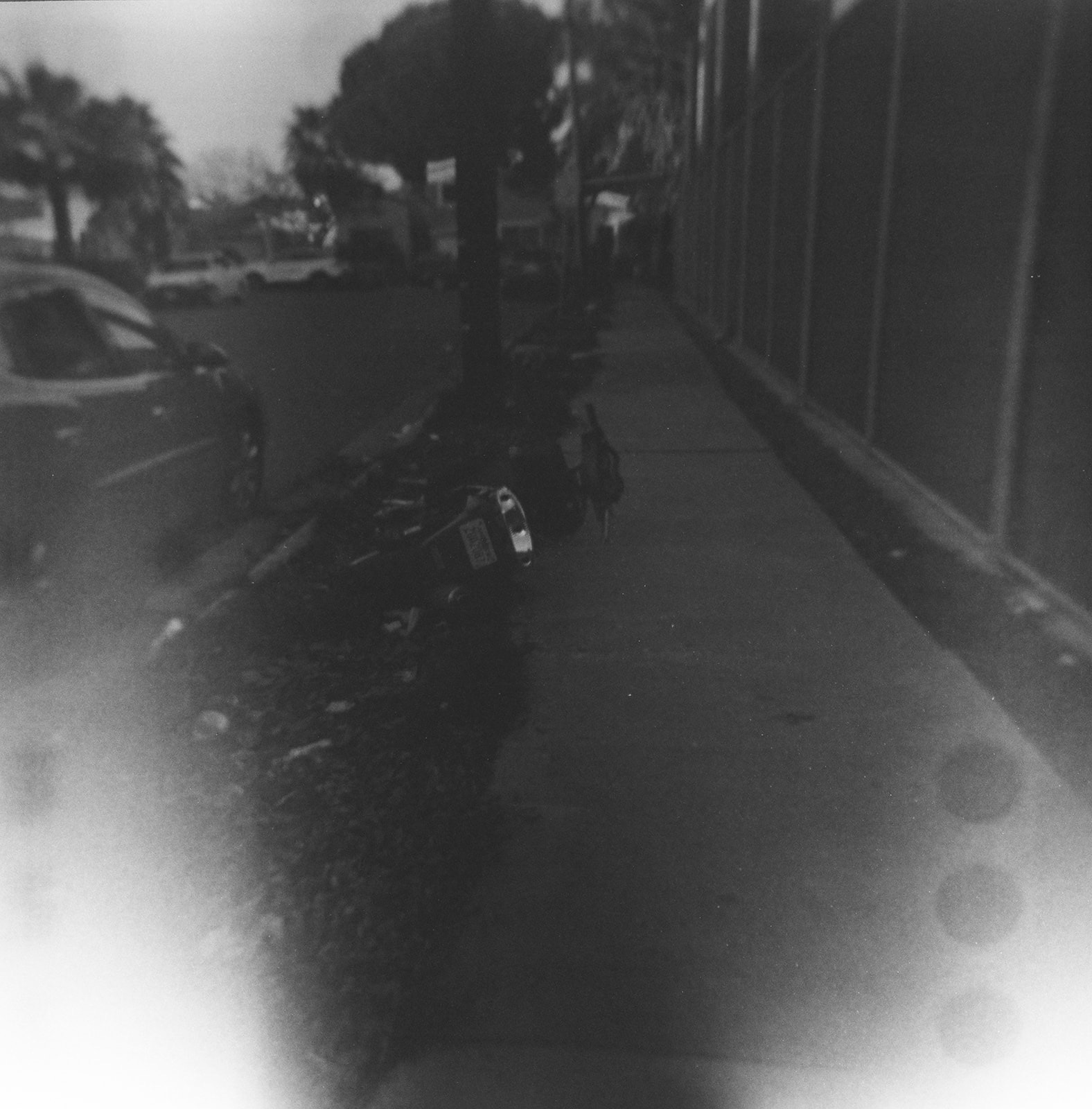 Monthly Study January 04