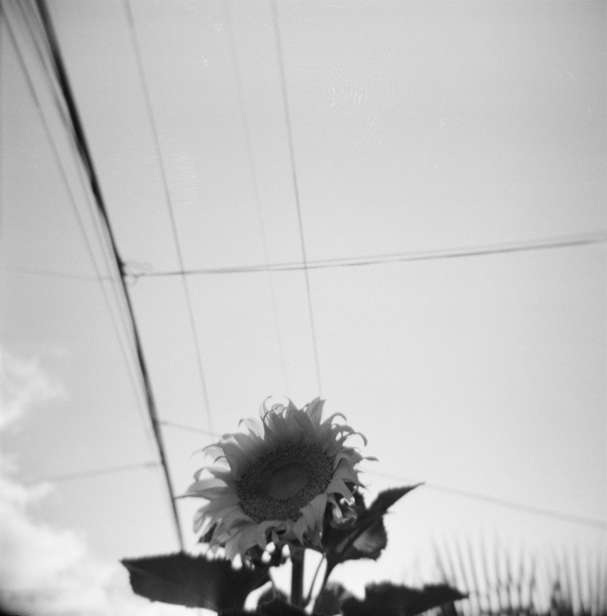 May 2026 print 09